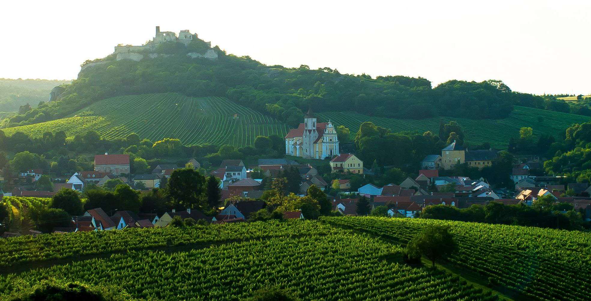 weingut-durnberg